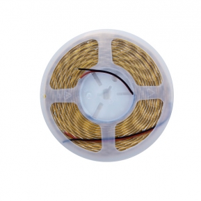COB384-8mm-10W