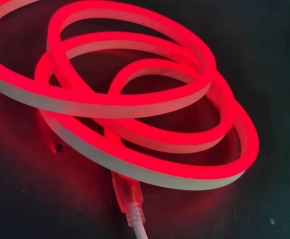 110V/220V Neon Flex
